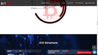 Bitex - The First Locally-Embedded Crypto-Bank