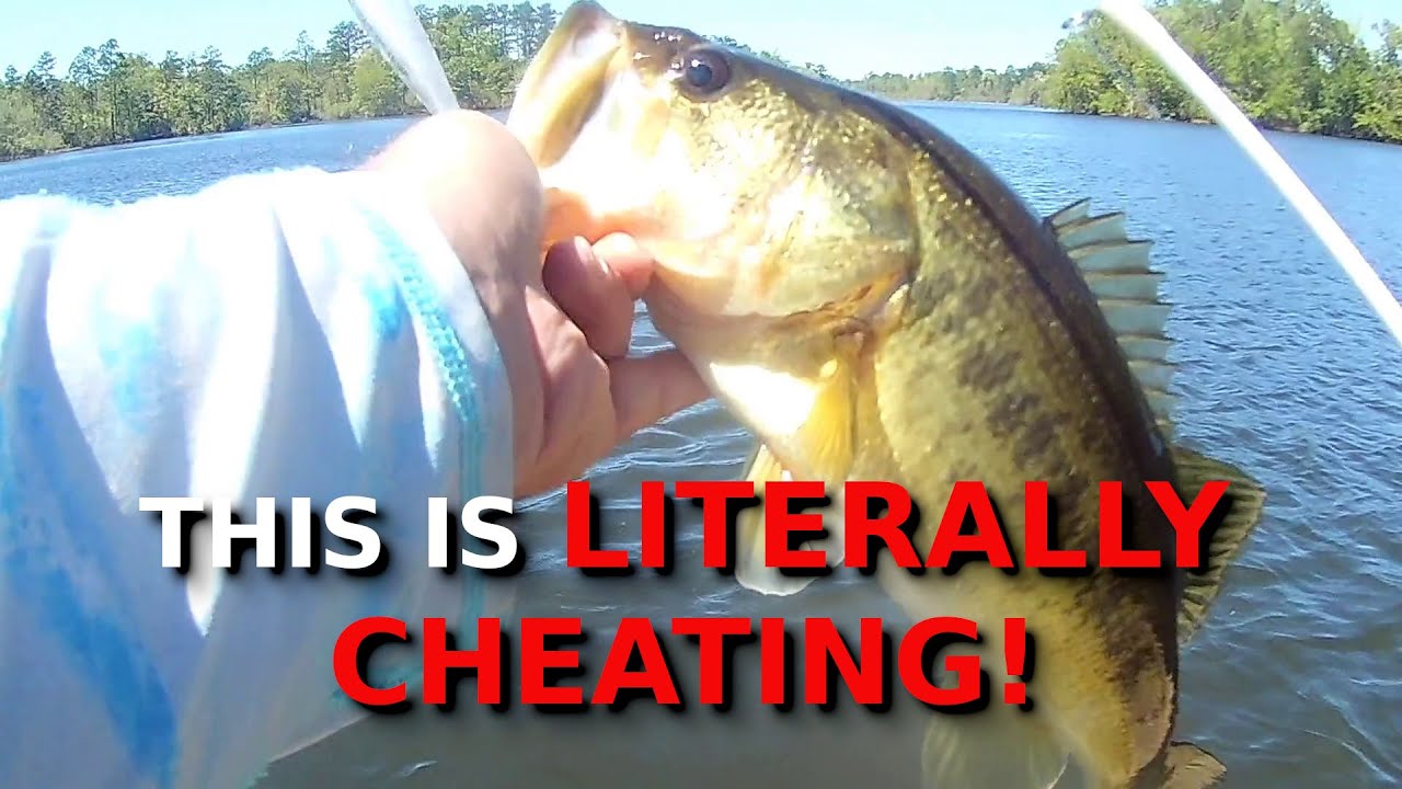 The Most CONTROVERSIAL Technique In Fishing?!?!?!