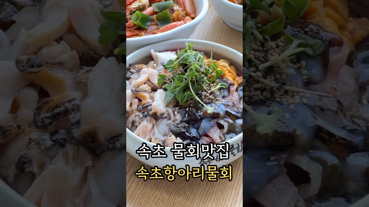 #shorts #속초맛집 #속초항아리물회