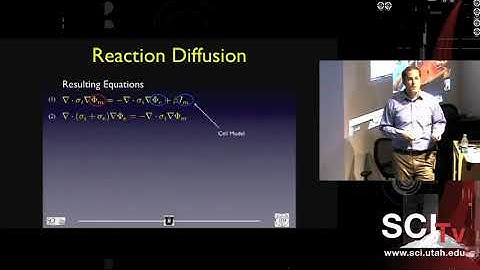 Hanieh Mirzaee: Smoothness-Increasing Accuracy-Conserving Filters for Discont. Galerkin Solutions