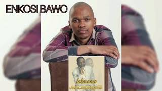 ENKOSI BAWO | MALIBONGWE GCWABE | INSTRUMENTAL COVER | SA SILOSINI