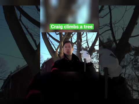 Craig vs Wild