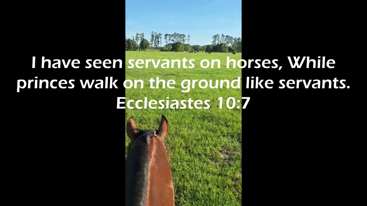 Servants | Inspired Outdoors