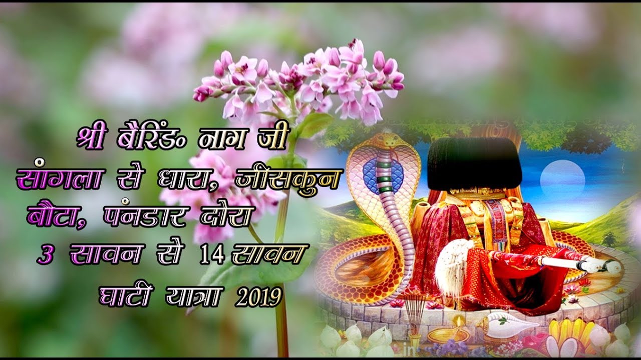 #SanglaToDhara,Ziskun;Bauta,Pandhar #SanglaGahatiYatra #LattestuploadKinnauri