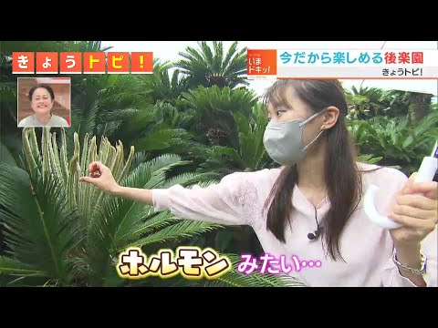 今の時期だからこそ楽しめる後楽園の見どころ紹介！｜きょうトピッ！（2022年6月21日放送）
