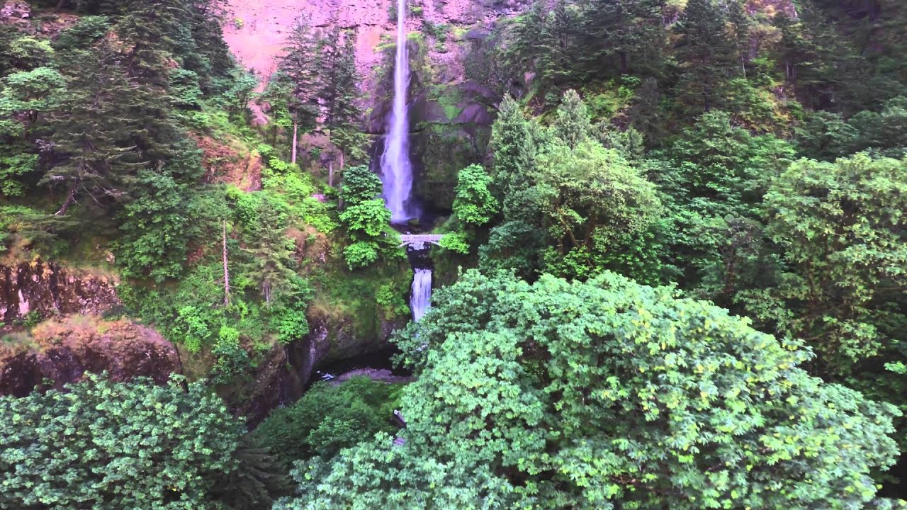 The Great North West