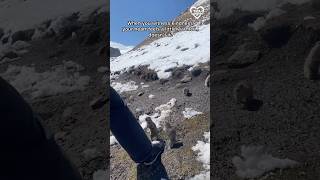 Kindness is how we heal …. each other, and the world around us 🥹 #inspiration #love