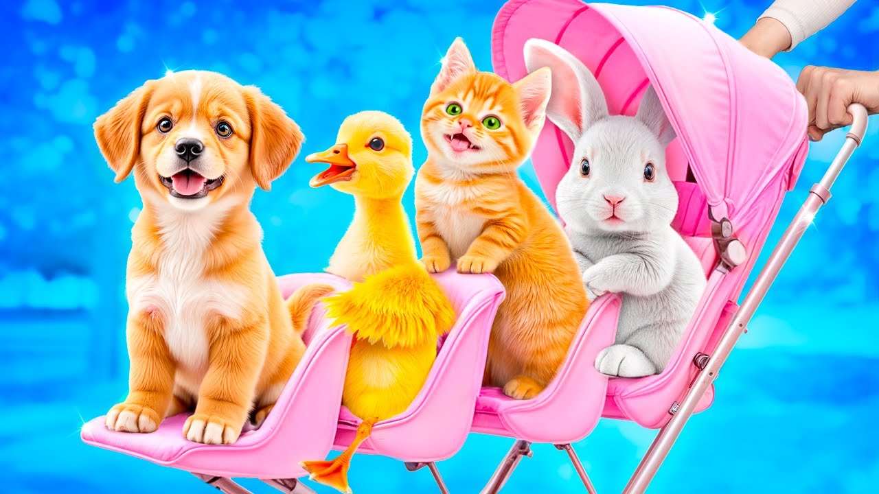 We Build a Tiny House for Pets! How to Take Care of Your Pets!