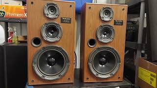 Technics SB-CR55 3 way Speaker System