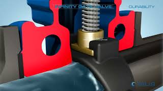 BAYARD Talis Infinity Gate Valve - Structure & Operations