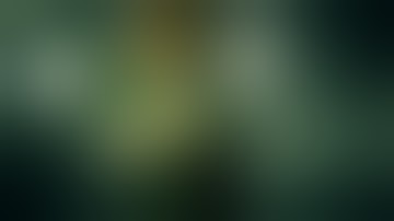 STEINS;GATE ELITE Opening Movie