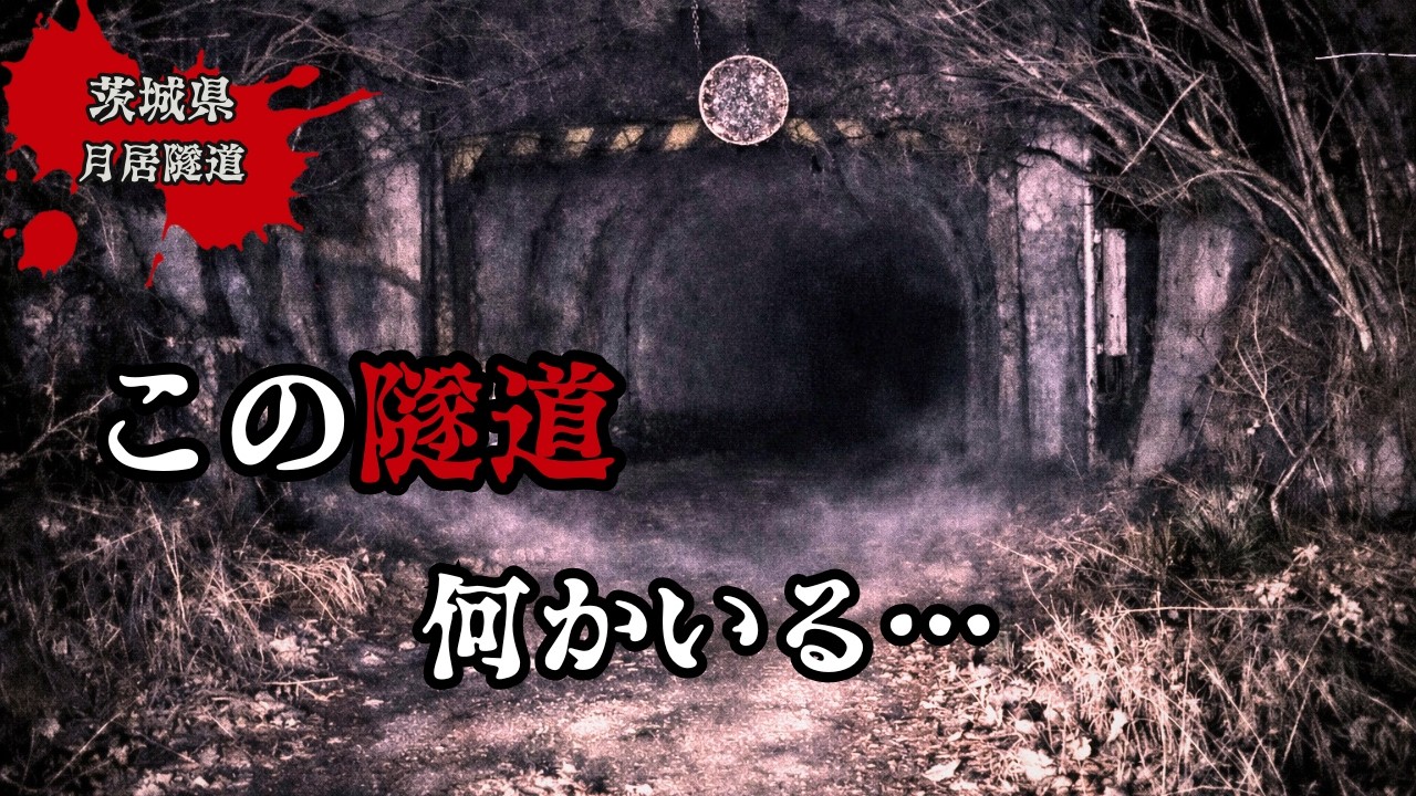 【茨城県】ここはヤバすぎる…月居隧道の先で見つけた恐ろしい物