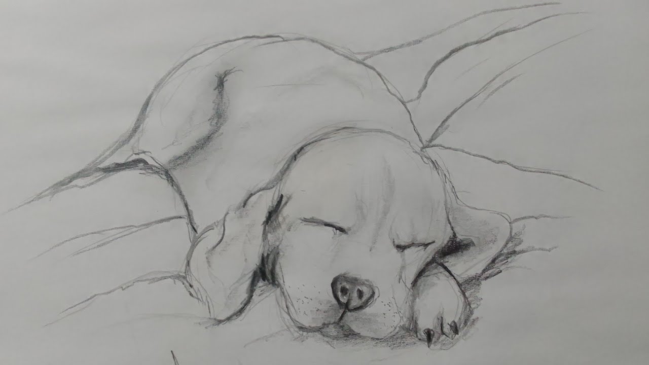 How To Drawing Dog Step By Step