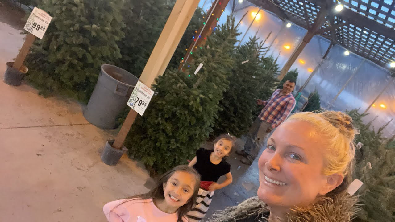 Pick out a Christmas Tree with us! YouTube
