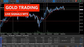 🔴 BTCUSD Live Trading | Gold Price Action &amp; MT5 Execution