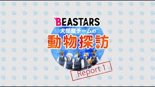 『BEASTARS』BD＆DVD Vol.1映像特典「犬部屋チームの動物探訪①」試聴用