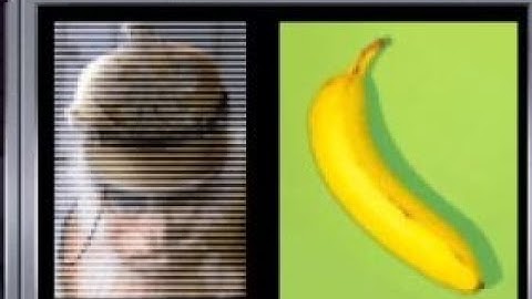 System Shock 2 Monkey Easter Egg