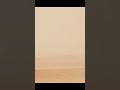 #shorts Desert scene fly short