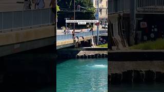 Jumping off the bridge into the Rhone in Geneva is an iconic summer activity.