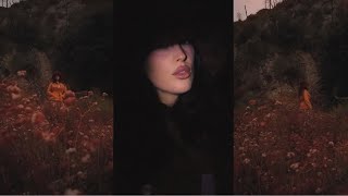 MaryLiz - a love letter I’ll never send (official video)
