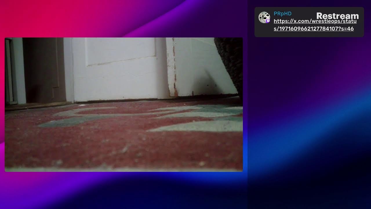 Gail Kim randomly becomes Meltzer expert, 5 stars? theme parks cruises Recession