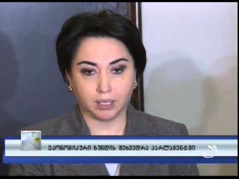 ეკონომიკური გუნდის შეხვედრა პარლამენტში