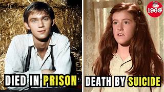 Famous Actor Where Are They Now? 2026