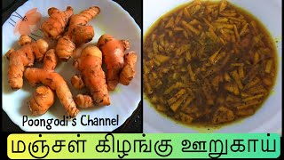 புது மஞ்சளில்  ஊறுகாய் செய்வது எப்படி? Manjal kizhangu oorugai | Fresh turmeric pickle recipe - 2