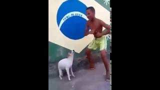 Танцующий пес Танцующий пес