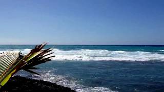 Whales breaching behind surfers