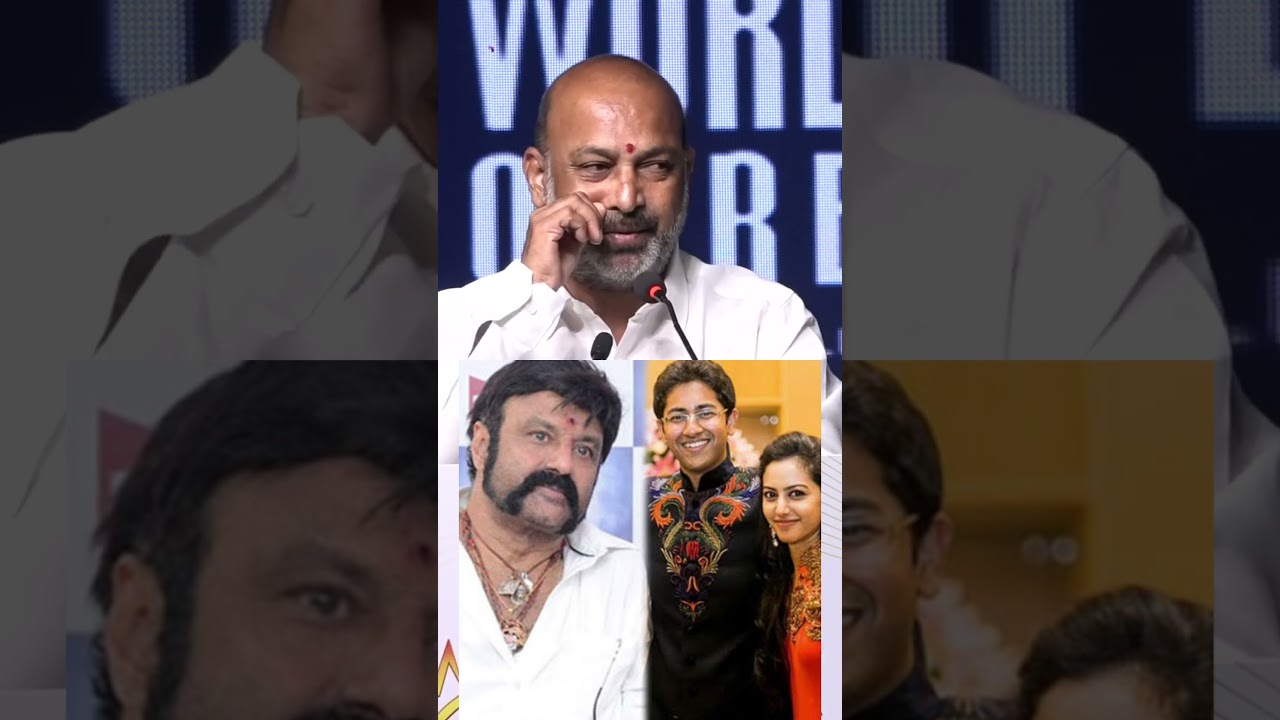 Karimnagar MP Bandi Sanjay told about Vizag MP Bharat 