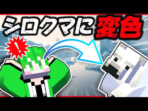 シロクマになって子供を育ててみたらヤバすぎwww【Minecraft/マイクラ】