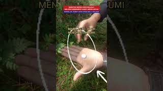 PENEMUAN BENDA ASING DARI LANGIT #viral #hiburan #parodi #drama #halu #komedi #humor #meteor