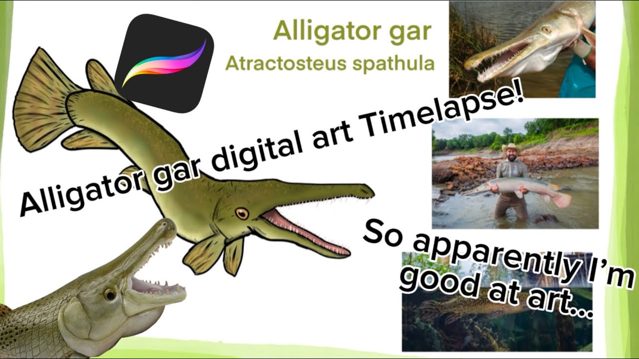 Alligator gar art Timelapse!