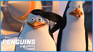 Penguins at the HQ?! 🐧❄️ | DreamWorks Madagascar