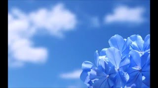 Video thumbnail of "Blue sky beat"