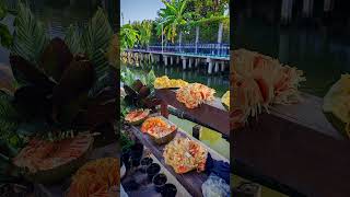 แพตาสาน บ้านพชร โทร 094-995-3395 บริการให้เช่าเรือพาย คลองบางมด