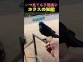 ❤️400万❤️いつ見ても不思議なカラスの知能