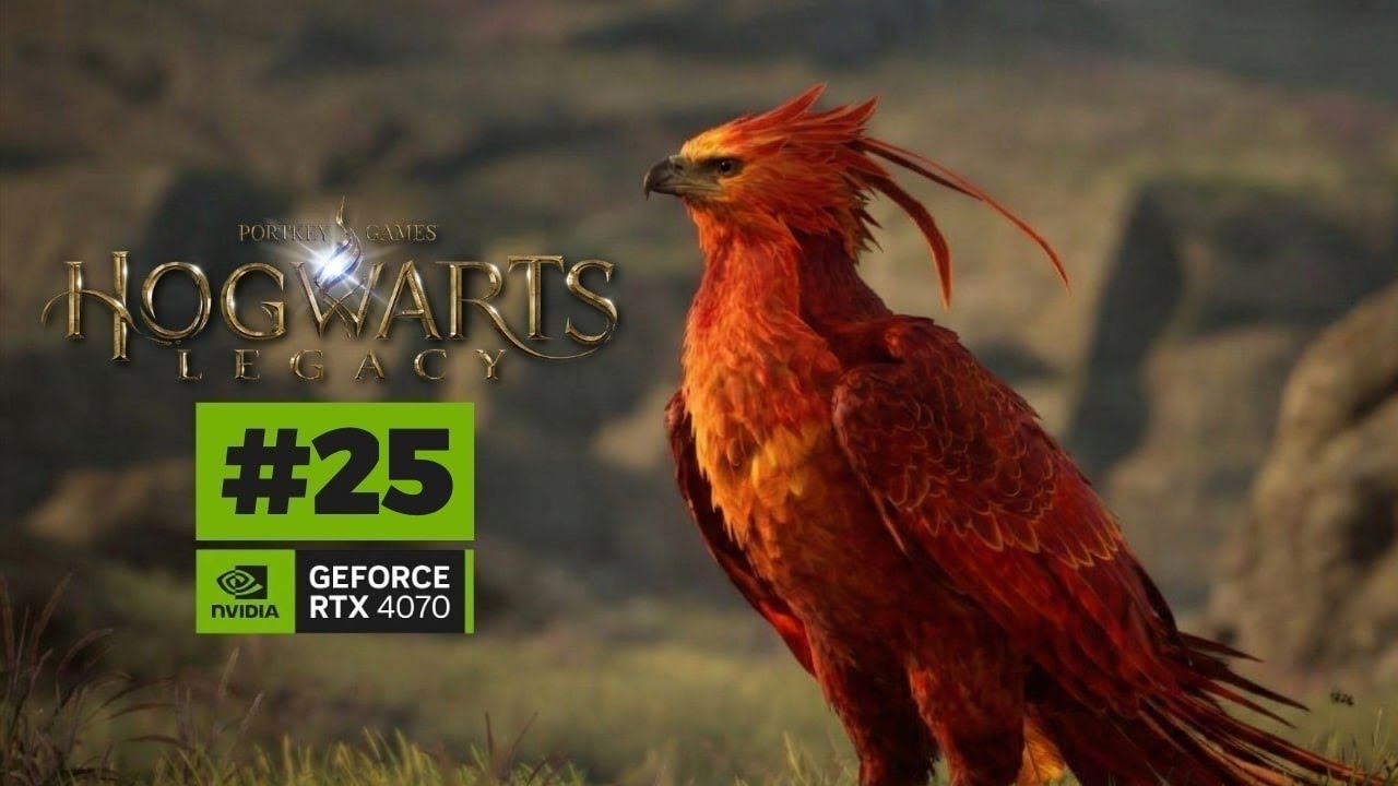 Hogwarts Legacy #25 #RPG #Warner #OALLANGAMER