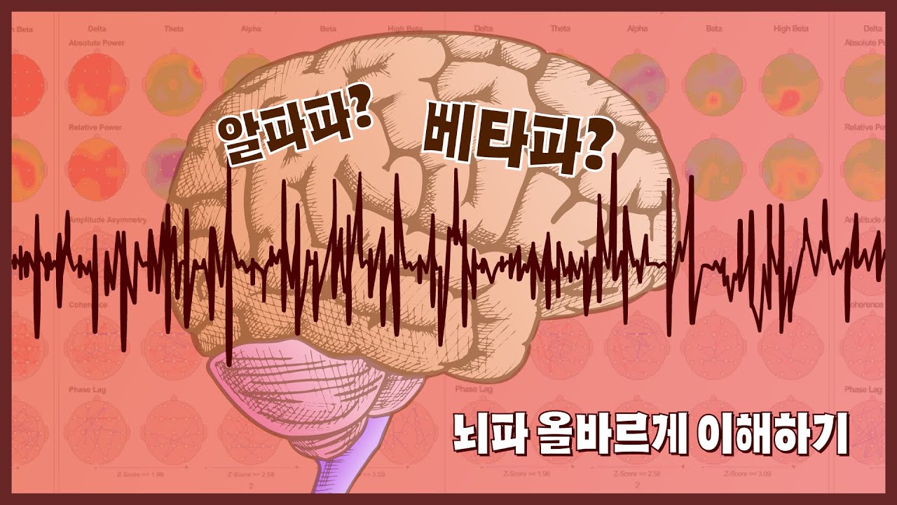 강남 뇌파 자세히 알아보기 : 알파파, 베타파, 델타파, 세타파 : 네이버 블로그