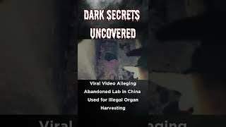 Uncovering The Dark Truth Of Illegal Organ Harvesting In China