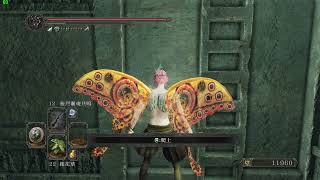 Dark souls2 DLC1 Elana skip
