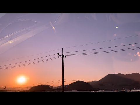 Vlog  쵸이닷 파스타 | 육회 | 부산 코스트코 | 서울김해 일상 | 엽떡, 장어구이