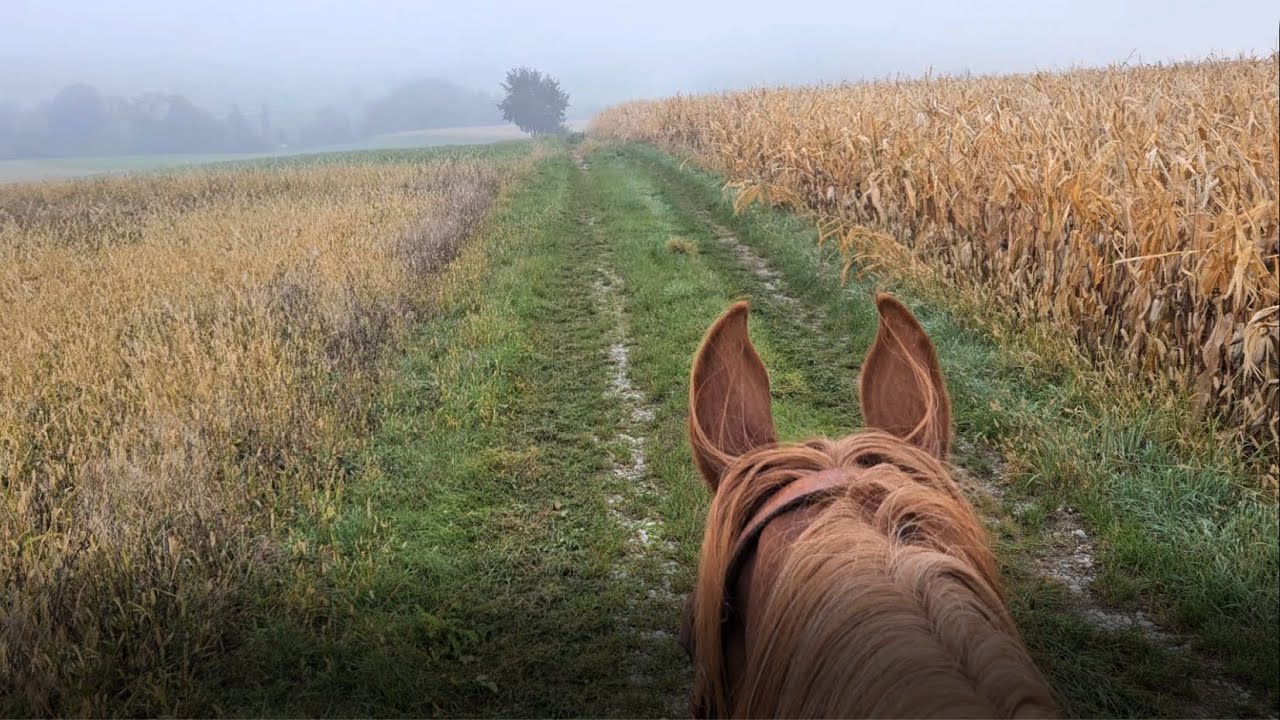 Lakito 58 Oktober 2024