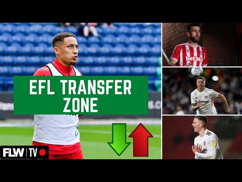 EFL TRANSFER ZONE: PARROTT TO SUNDERLAND?  TAVERNIER TO AFCB?