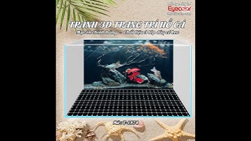 Tranh 3D dán hồ cá các mẫu tranh tối màu hot 2025 #shotsvideos #cacanh  #aquarium