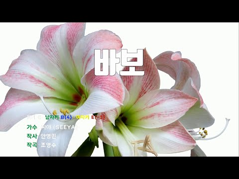 [은성 반주기] 바보 - 씨야(SEEYA)