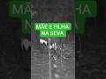 Olha essa filmagem... #natureza #antas #cameradetrilha #vidaselvagem