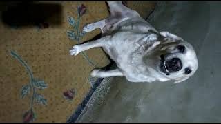 VID 20210329 WA0000