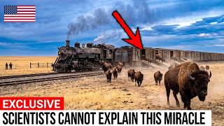 Oklahoma Returned 300 Bison to a Dead Prairie — 29 Years Later, Scientists Had No Explanation